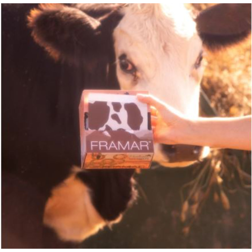 Framar - Yeehaw - Pop Up 500 sheets - 5x11" - pre-cut