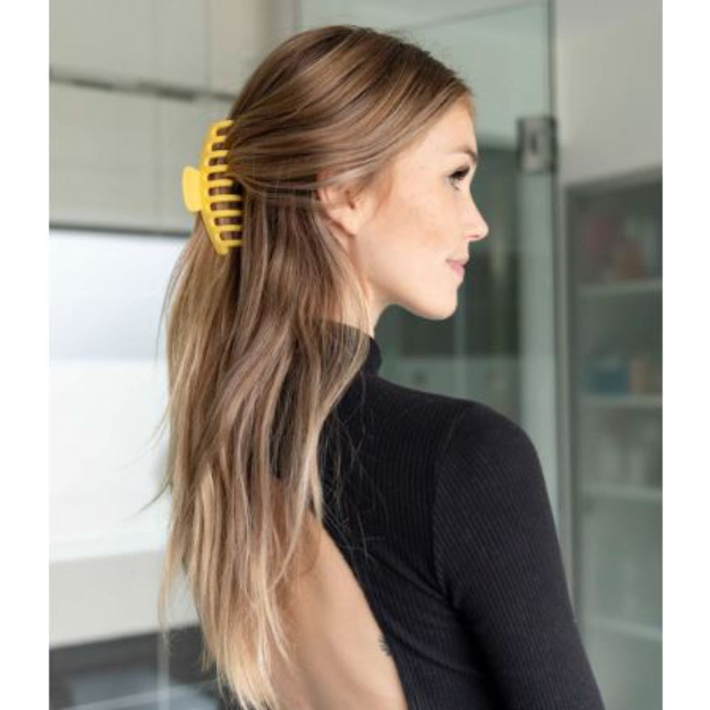 Framar - Claw Clips - Pastel Pack of 4