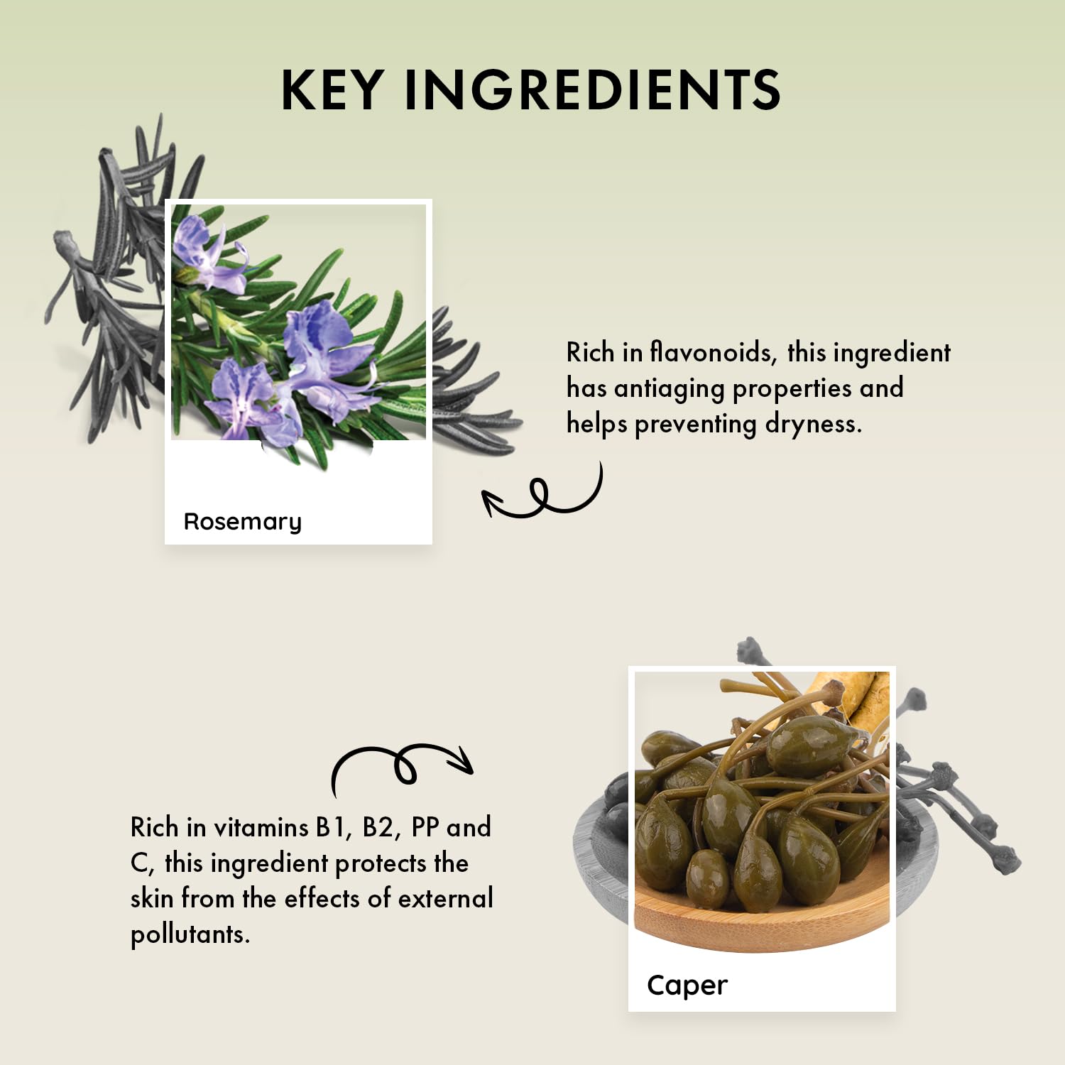 Naturica Detoxifying Comfort Shampoo