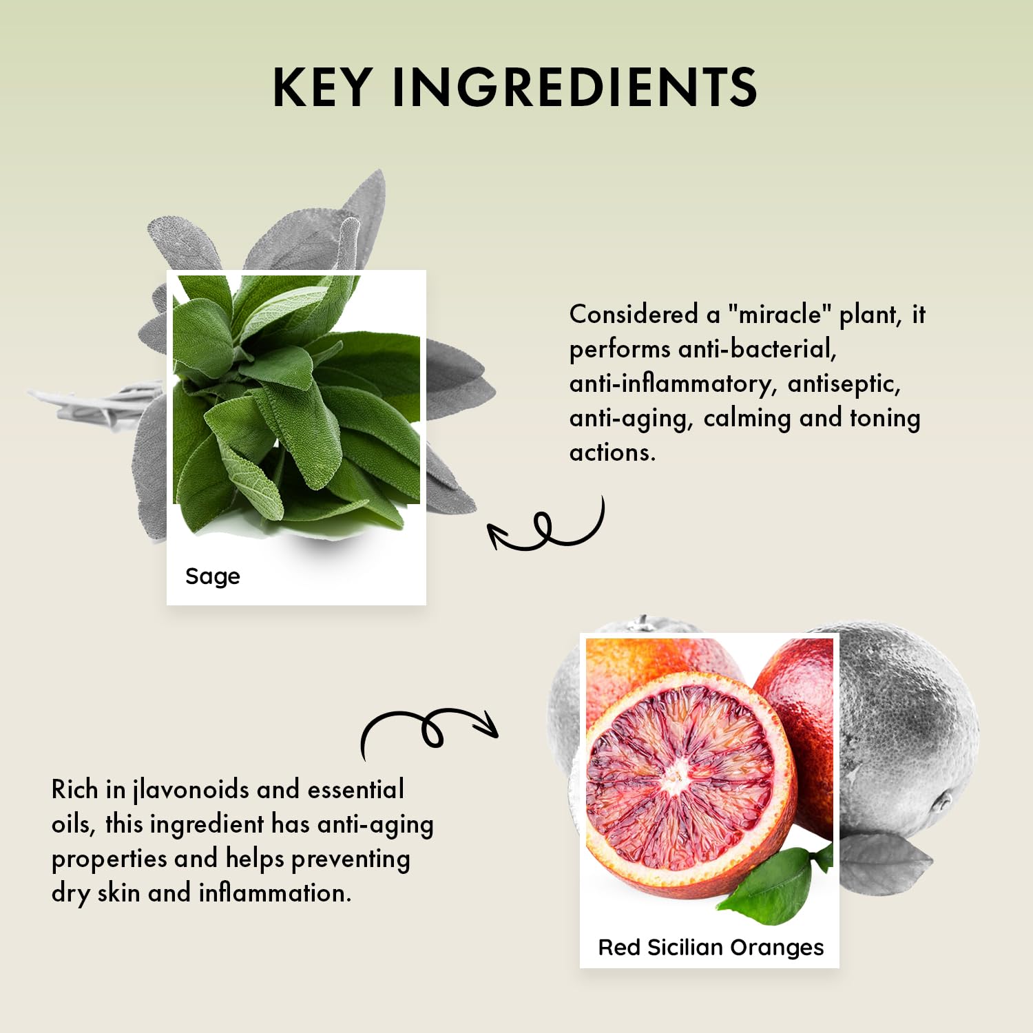 Naturica Soothing Shampoo