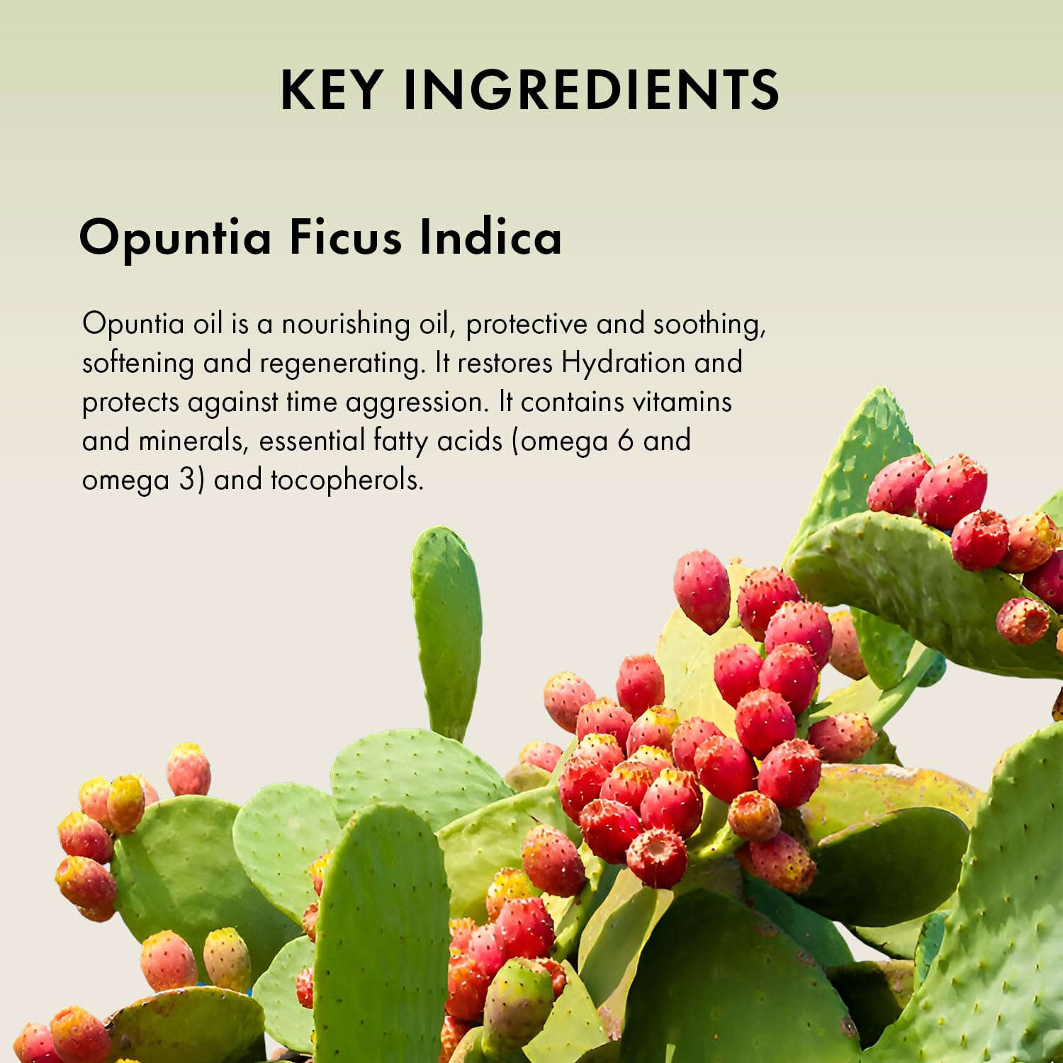 Naturica Opuntia Oil Treatment