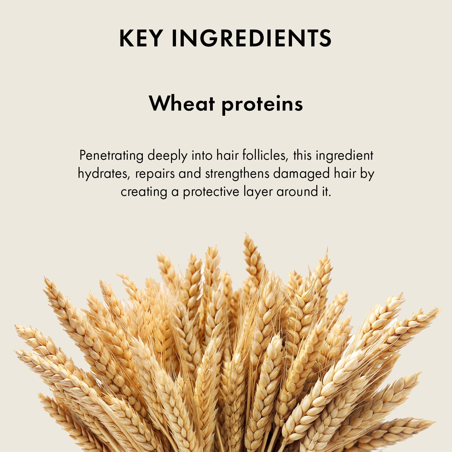 Naturica Volumizing Experience Conditioner