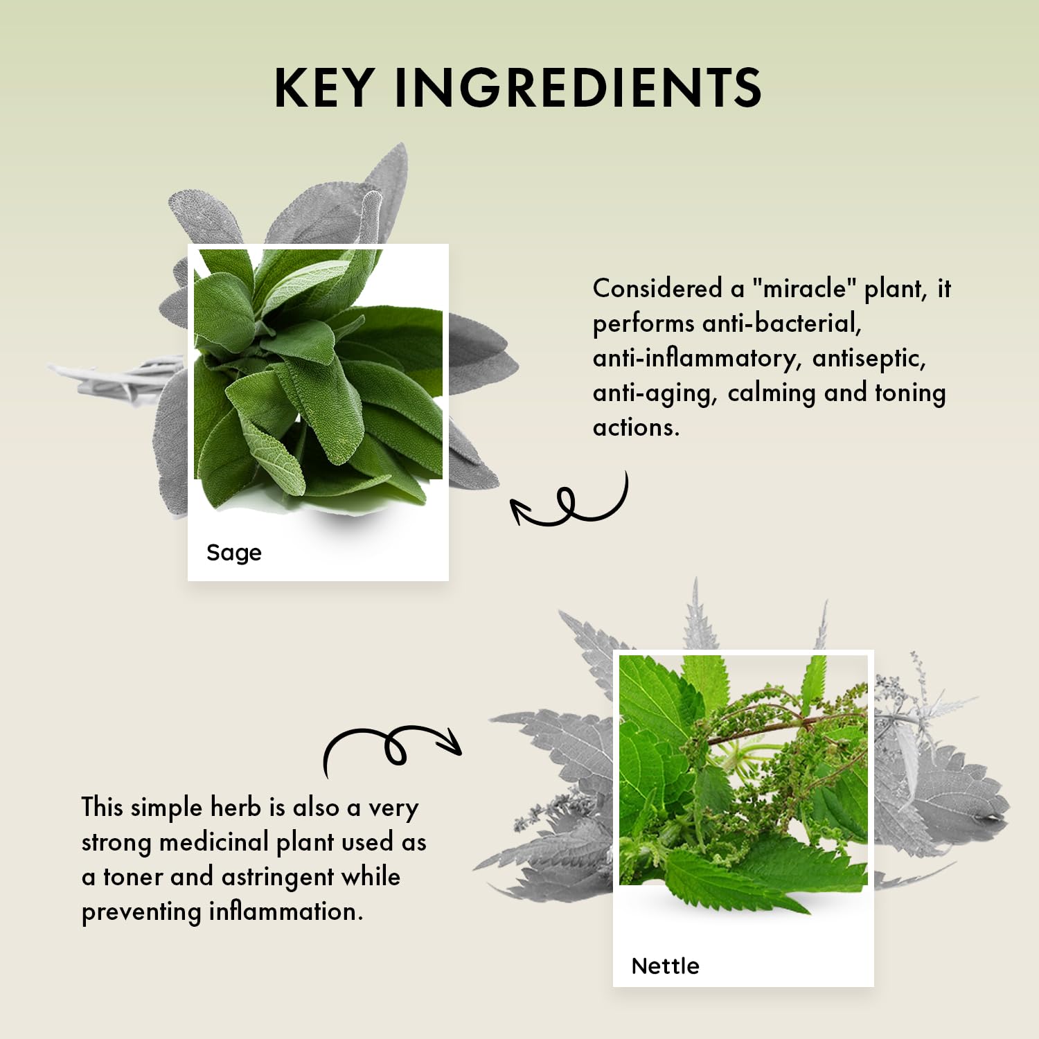 Naturica Balancing Remedy Shampoo