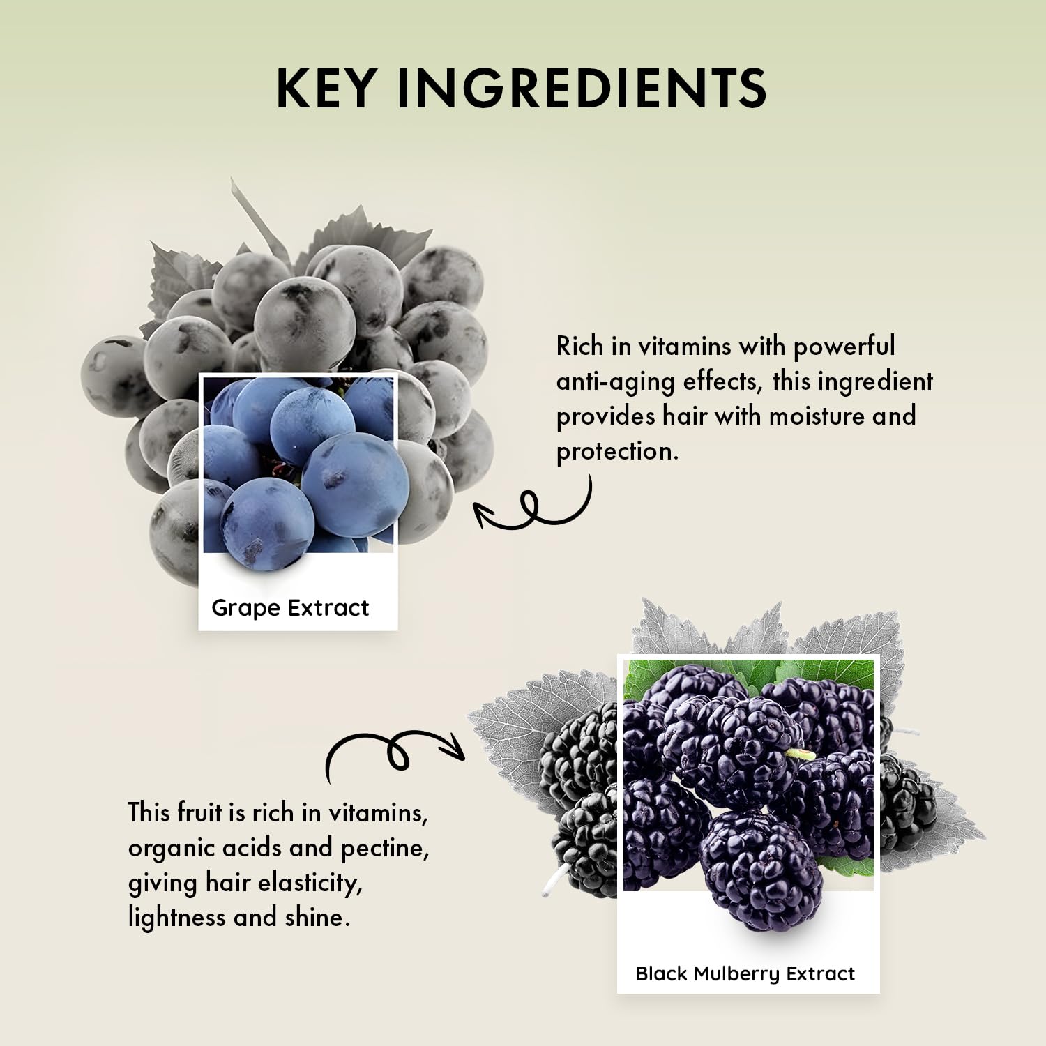 Naturica Moisturising Defense Shampoo