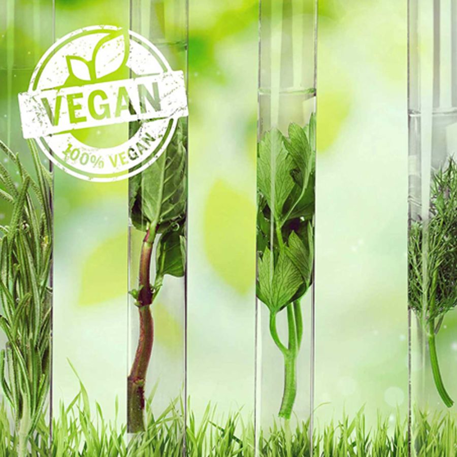 Macadamia Professional Ultra Rich Repair Conditioner- 200300 (300 ml)