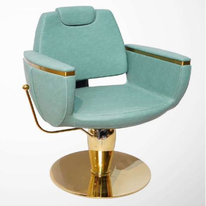 Mercury Unisex Styling Chair – Hydraulic Reclining Salon Chair with Adjustable Headrest (Stainless Steel & Gold Base Options)