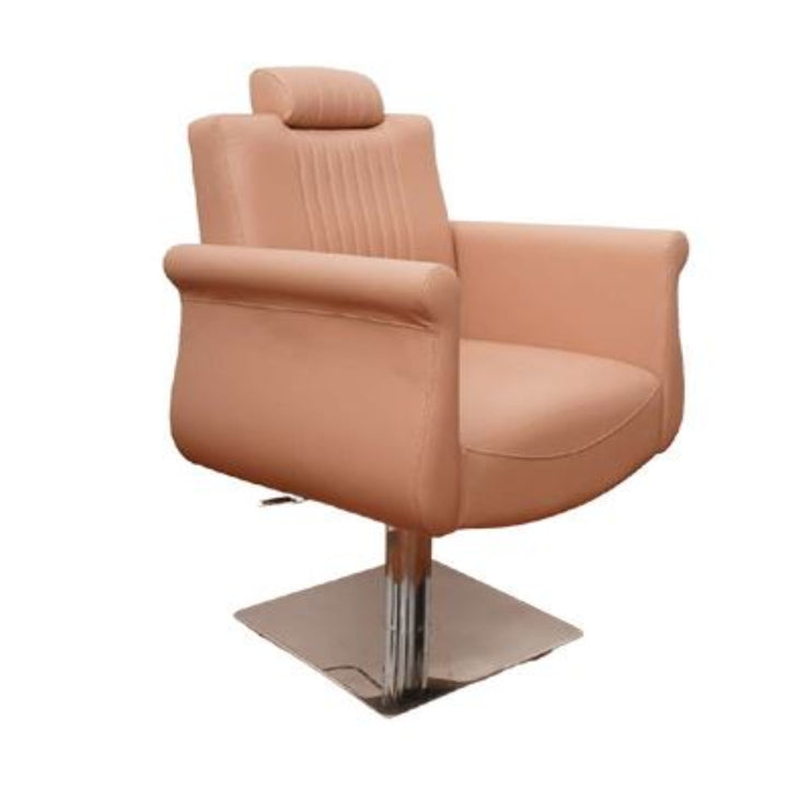Bloom Unisex Styling Chair – Hydraulic Reclining Salon Chair with Adjustable Headrest (Stainless Steel & Gold Base Options)