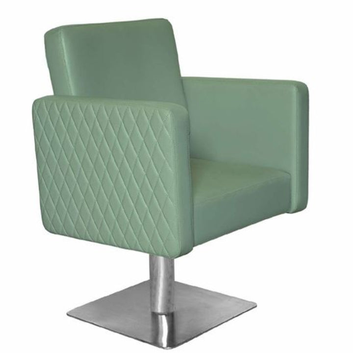 Cosmic Styling Chair – Stainless Steel Pump & Base with Hydraulic Swivel Lock & Customizable Upholstery