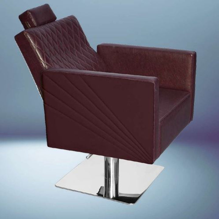 Decor Unisex Styling Chair – Hydraulic Reclining Salon Chair with Adjustable Headrest (Stainless Steel & Gold Base Options)