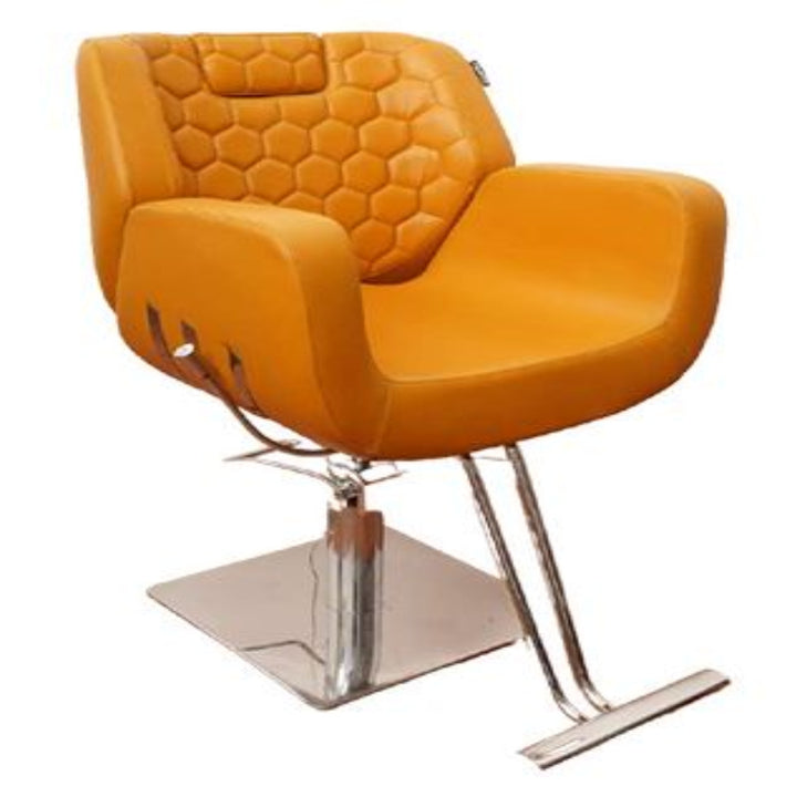 Kiara Unisex Styling Chair – Hydraulic Reclining Salon Chair with Adjustable Headrest (Stainless Steel & Gold Base Options)