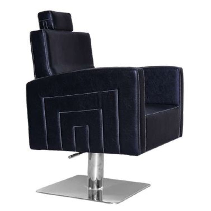 Rexar Unisex Styling Chair – Hydraulic Reclining Salon Chair with Adjustable Headrest (Stainless Steel & Gold Base Options)