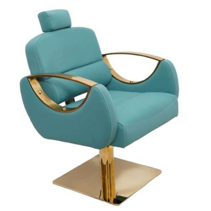Venice Upgrade Unisex Styling Chair – Hydraulic Reclining Salon Chair with D-Cut Armrests (Stainless Steel & Gold Base Options)